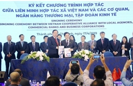 Agribank hỗ trợ tích cực cho hợp tác xã tăng trưởng bền vững