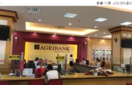 Agribank Hải Dương đồng hành xây dựng Nông thôn mới