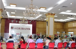 Agribank nỗ lực để dòng vốn chảy vào nông nghiệp sạch, nông nghiệp công nghệ cao