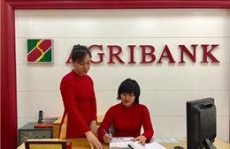 Agribank: Nơi khách hàng trao gửi niềm tin