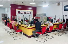 Agribank Chi nhánh Vĩnh Phúc II khai trương Phòng giao dịch Xuân Hòa