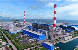Nhiệt điện Vĩnh Tân: 10 năm không ngừng xanh hoá môi trường