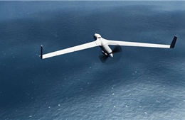 Năng lực trinh sát trên biển của trinh sát cơ UAV ScanEagle