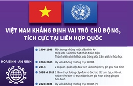 Việt Nam khẳng định vai trò chủ động, tích cực tại Liên hợp quốc