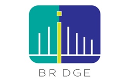 Nền tảng đầu tư ngang hàng (p2p) SeedIn đổi tên thành BRDGE và có kế hoạch thâm nhập Indonesia