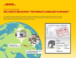 DHL vận chuyển thành công bằng máy bay con voi nặng hơn 4 tấn, cao hơn 3 mét từ Pakistan đến Campuchia
