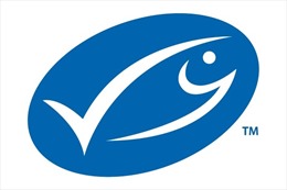 Marine Stewardship Council hợp tác với các đầu bếp nổi tiếng công bố cuốn sách nấu ăn hải sản bền vững