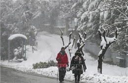 Tuyết rơi dày gây ảnh hưởng nghiêm trọng tại Hy Lạp