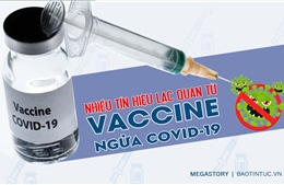 Nhiều tín hiệu lạc quan từ vaccine ngừa COVID-19