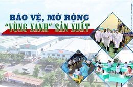 Bảo vệ, mở rộng ‘vùng xanh’ sản xuất