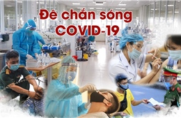 &#39;Đê chắn sóng&#39; COVID-19