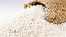 Gạo thơm Việt Nam được ưu chuộng trên thế giới