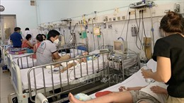 Ca mắc sốt xuất huyết tại TP Hồ Chí Minh gia tăng