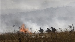 Cháy rừng tại Israel sau các vụ tấn công bằng rocket từ Liban