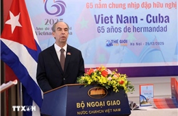 Đại sứ Cuba: Bầu cử Quốc hội thể hiện tính dân chủ và sự đồng thuận xã hội cao