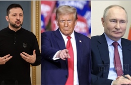 Quan chức Ukraine nói Tổng thống Trump nên mời Tổng thống Zelensky tới Alaska