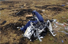 Thủ tướng Malaysia nói Nga sẵn sàng hỗ trợ điều tra vụ bắn rơi máy bay MH17