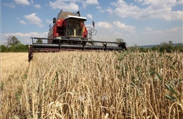 EU bất ngờ chuẩn bị áp thuế cao hơn đối với hàng nhập khẩu từ Ukraine