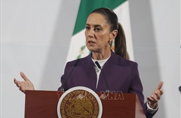 Tổng thống Mexico kêu gọi chính quyền Mỹ tôn trọng pháp quyền trong vấn đề di trú