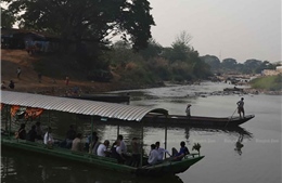 Thái Lan khẩn trương ứng phó với dịch tả bùng phát từ Myanmar