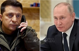 Ukraine, Nga tìm kiếm sự ủng hộ quốc tế trước thềm hội nghị thượng đỉnh Trump-Putin