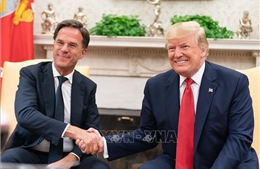 Tổng thống Trump gặp Tổng thư ký NATO và câu chuyện chuyển vũ khí cho Ukraine