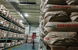 Nhật Bản tiếp tục họp bàn giải quyết tình trạng giá gạo tăng cao bất thường