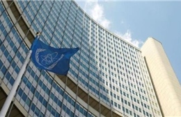 Loạt quốc gia châu Âu lên án mối đe dọa nhắm vào Tổng giám đốc IAEA