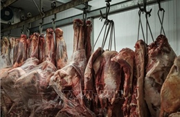 Thái Lan đối mặt hàng loạt thách thức về nông nghiệp trong đàm phán thuế quan với Mỹ