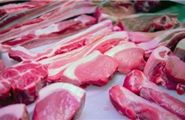 Khuyến cáo của Đại sứ quán Australia về việc mang sản phẩm có thịt lợn khi nhập cảnh 