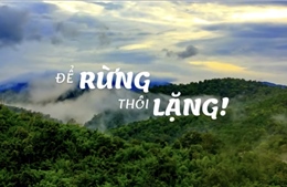 Phát hành video ‘Để rừng thôi lặng’ kêu gọi bảo vệ động vật hoang dã
