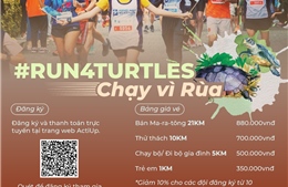 Giải chạy &#39;#Run4Turtles 2023&#39; nhằm nâng cao nhận thức về bảo tồn loài rùa