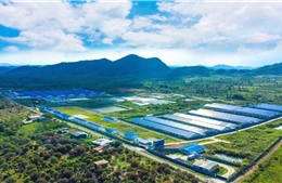 De Heus - Hùng Nhơn thúc đẩy đầu tư chăn nuôi công nghệ cao ở Gia Lai