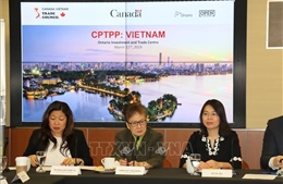 CPTPP mở ra nhiều cơ hội cho doanh nghiệp Canada - Việt Nam