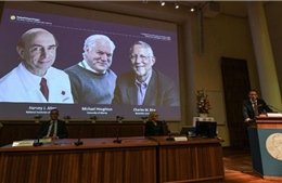 Giải Nobel Y sinh thuộc về ba nhà khoa học phát hiện ra virus viêm gan C