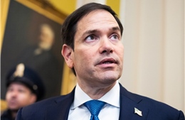 Tổng thống đắc cử Trump dự kiến chọn Thượng nghị sĩ Marco Rubio làm ngoại trưởng