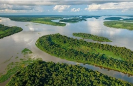 Cộng hòa Congo đàm phán hoán đổi nợ để bảo vệ môi trường