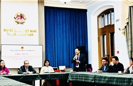 Kiều bào với Tổ quốc: Huy động sức mạnh toàn dân tộc để phát triển đất nước