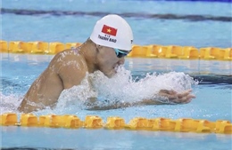 SEA Games 33: Bơi Việt Nam khẳng định vị thế hàng đầu khu vực