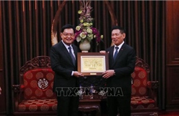 Phó Thủ tướng Hồ Đức Phớc tiếp nguyên Phó Thủ tướng Singapore