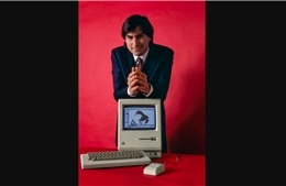 Cuộc đời Steve Jobs: Từ người bị loại khỏi Apple đến huyền thoại công nghệ - Kỳ 1