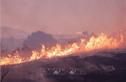 NASA nghiên cứu các cơn bão hình thành từ cháy rừng