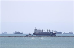 UAE đề xuất thiết lập các tuyến thương mại mới do bất ổn ở Biển Đỏ