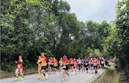 Gần 2.400 vận động viên tham gia giải Quang Binh Discovery Marathon 2024