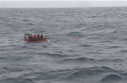 Vụ tàu cá ngư dân Bình Định bị chìm: Đã tìm thấy thi thể nạn nhân