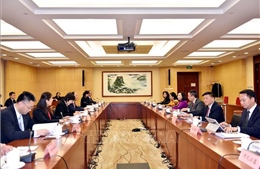 Thúc đẩy hợp tác hiệu quả và thiết thực giữa các cơ quan của Quốc hội Việt Nam và Nhân Đại toàn quốc Trung Quốc