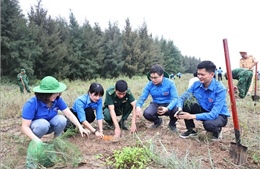 Thanh niên Thông tấn xã Việt Nam hưởng ứng Đề án trồng 1 tỷ cây xanh 