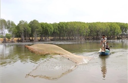 Nuôi thủy sản kết hợp trồng rừng - sinh kế bền vững của người dân xã đảo