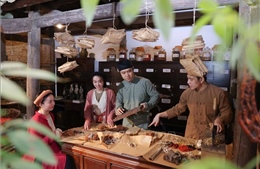 Tôn vinh nghề thuốc Đông y cổ truyền trong Khu phố cổ Hà Nội