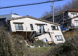 Nhật Bản: Tuần lễ Vàng ý nghĩa với hoạt động tình nguyện ở vùng động đất